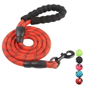 Red Nylon Dog Leash