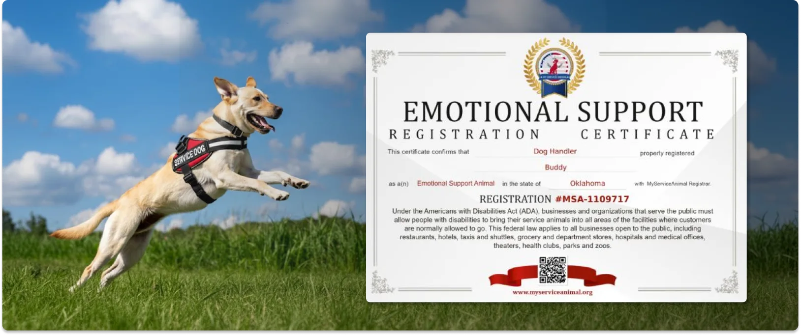 Emotional Support Animal Certificate