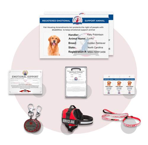 thumbnail image 2 of Personalized Service Dog Certificate - Emotional Support Therapy Training ESA 2 of 4
