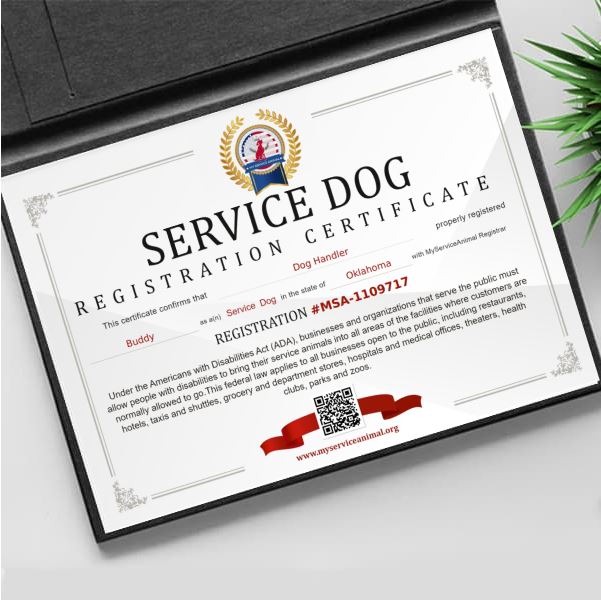 USA Service Dog Certificate Template