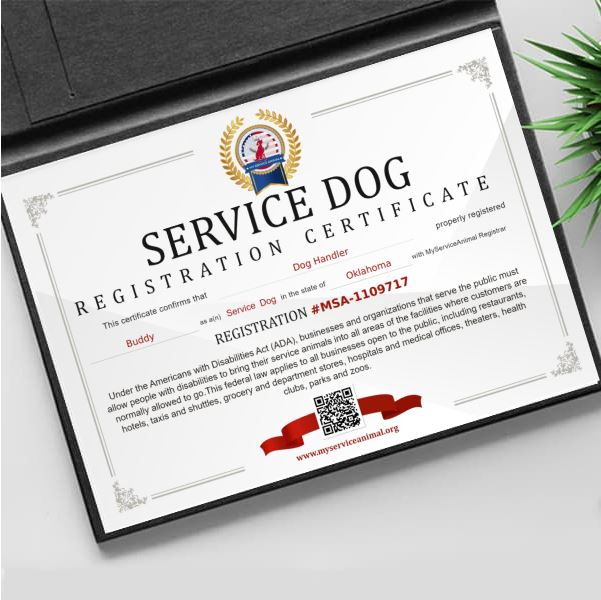 Service Animal Certificate Template ubicaciondepersonas cdmx gob mx