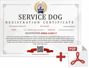 Service Dog Certificate PDF File