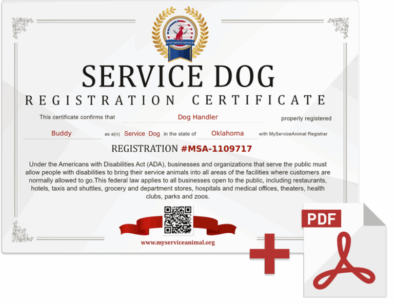 Service Dog Benefits