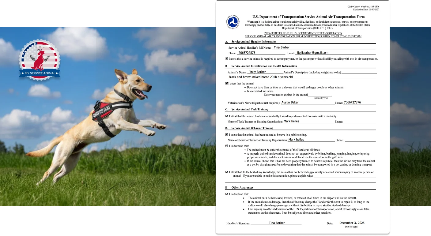 Airline DOT form banner