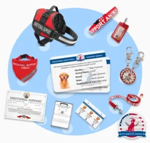 ESA Registration Bundle from MyServiceAnimal