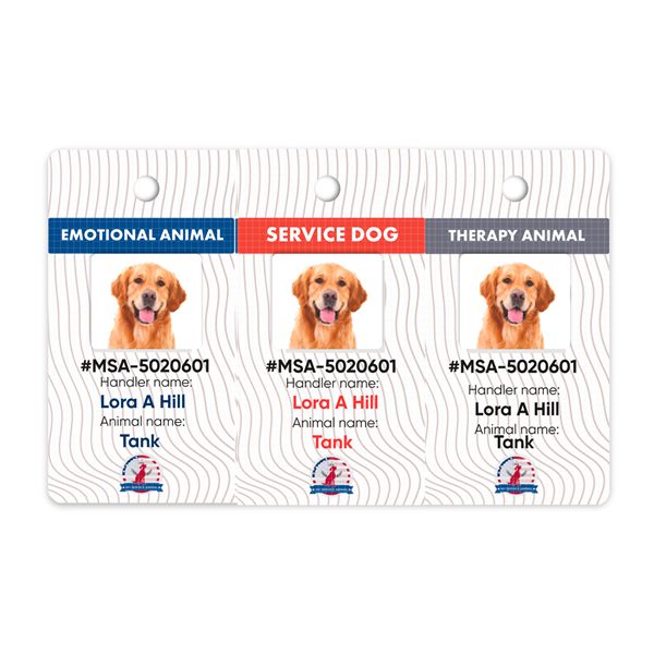 Assistant Pet Tags ID