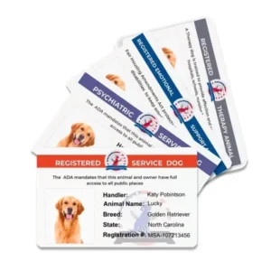 Replacment ID Cards