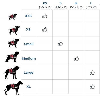 Essential Accessories Sizes