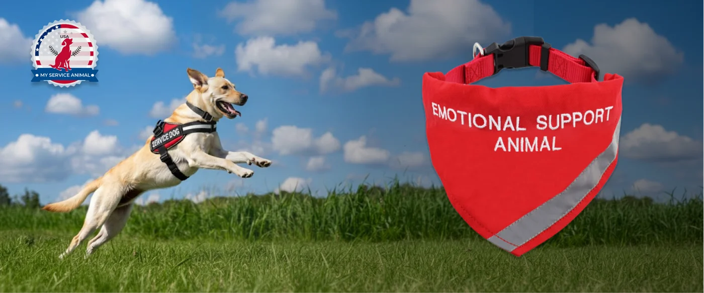 Support Animal Bandana Banner