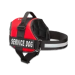 Service Dog vest