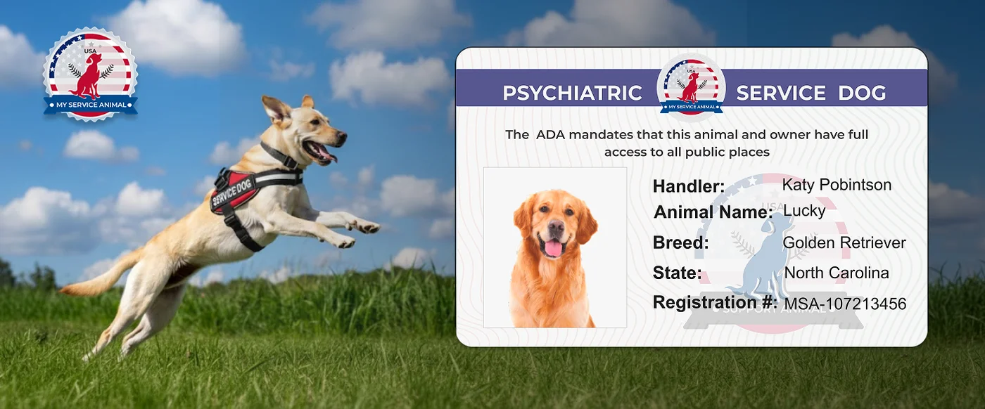 PSD dog ID banner
