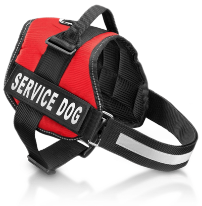 Service Dog Harness Sample