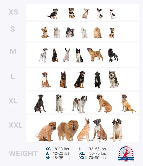 Service dog breeds vest size table