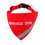 Service dog bandana