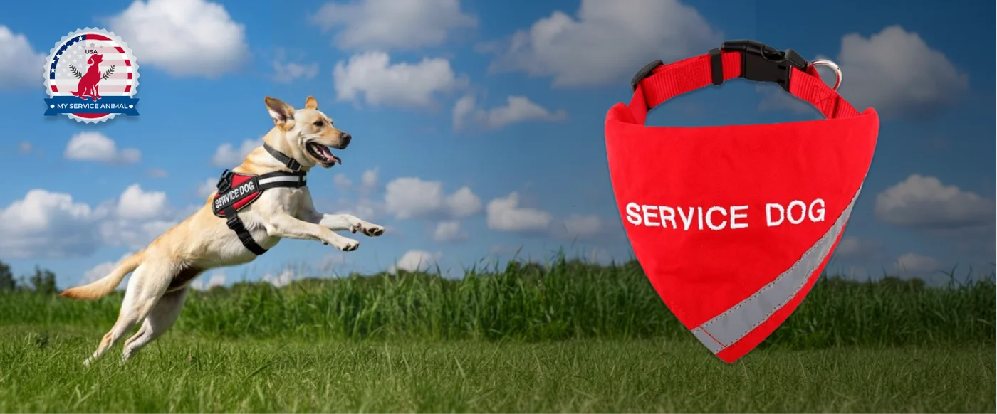 Service dog bandana Banner