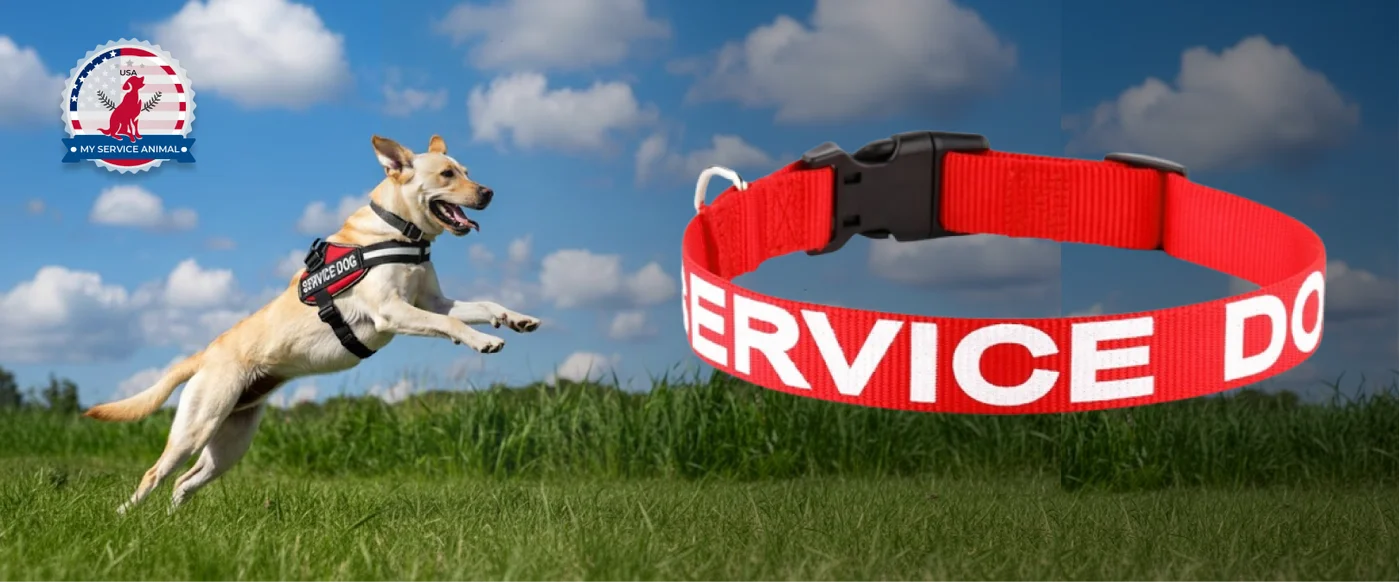 Service Dog collar banner
