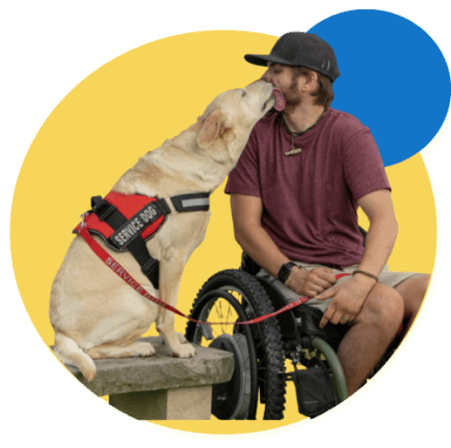 Service Dog in Vest with Handler