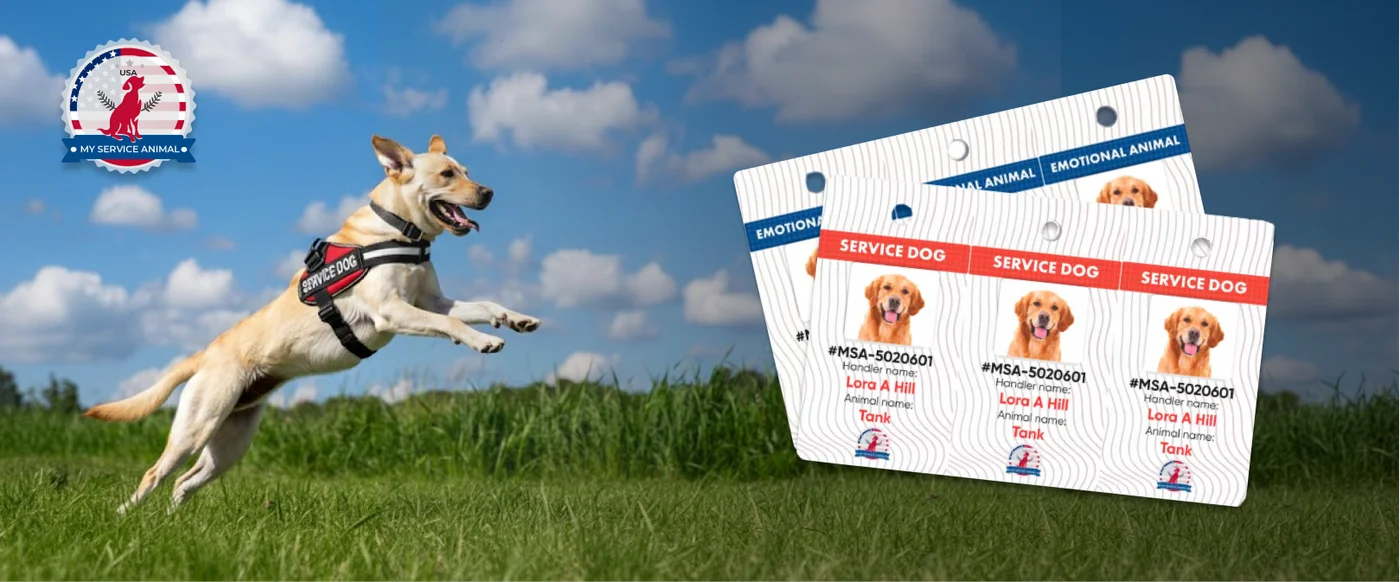 Mini ID Tags card banner