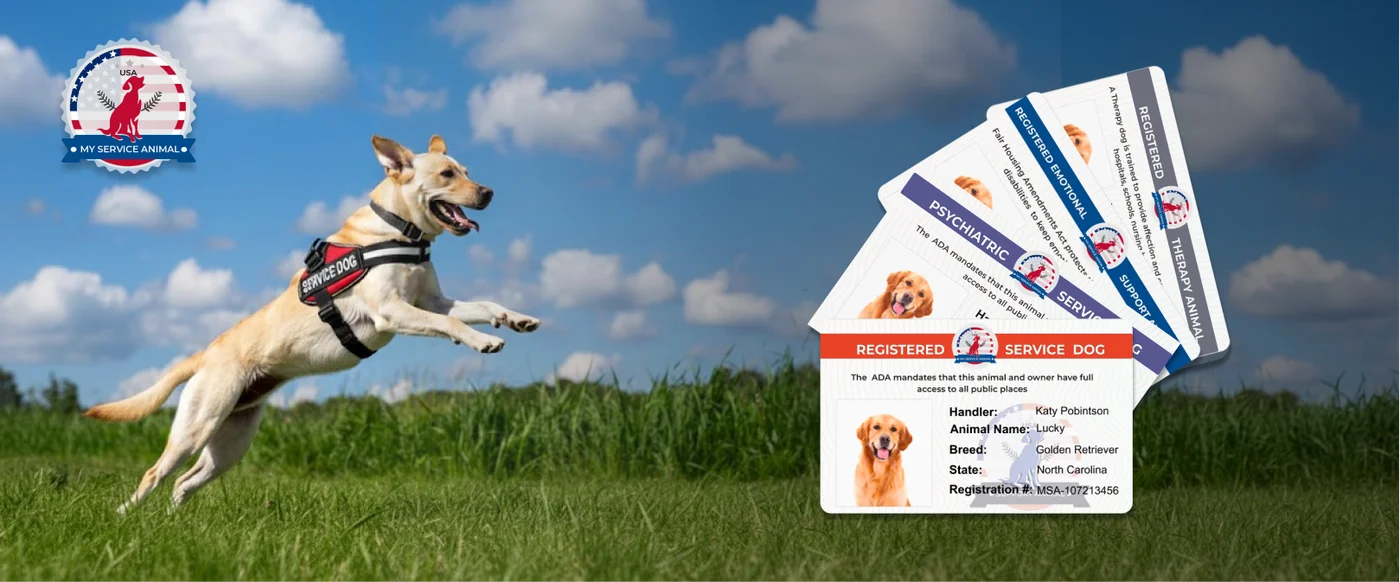 Replacmend MyServiceAnimal ID Card banner