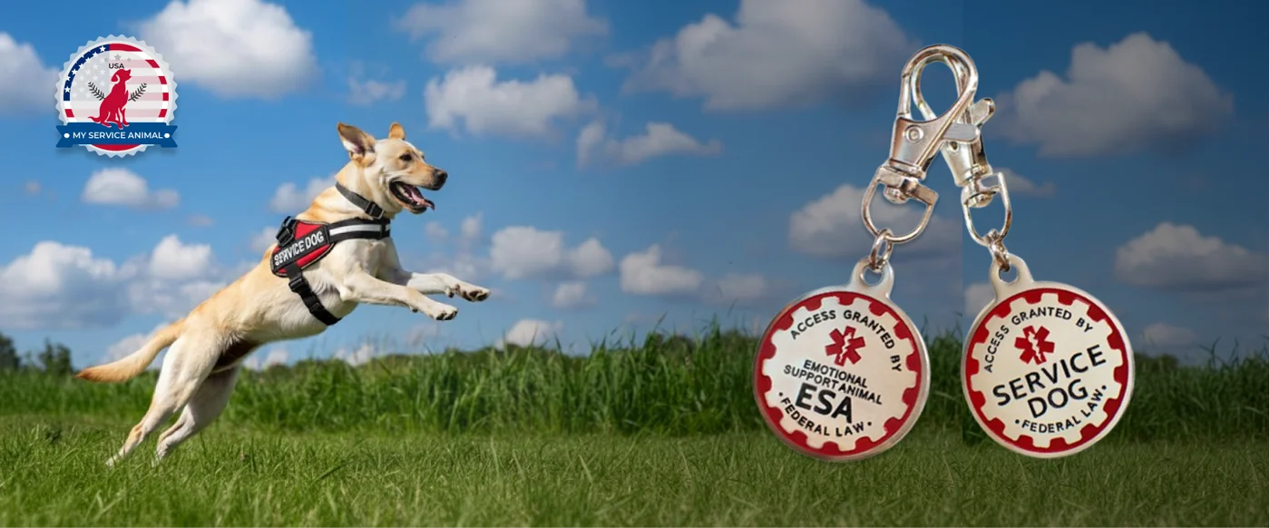 Metal Tags Assistant Animal Banner