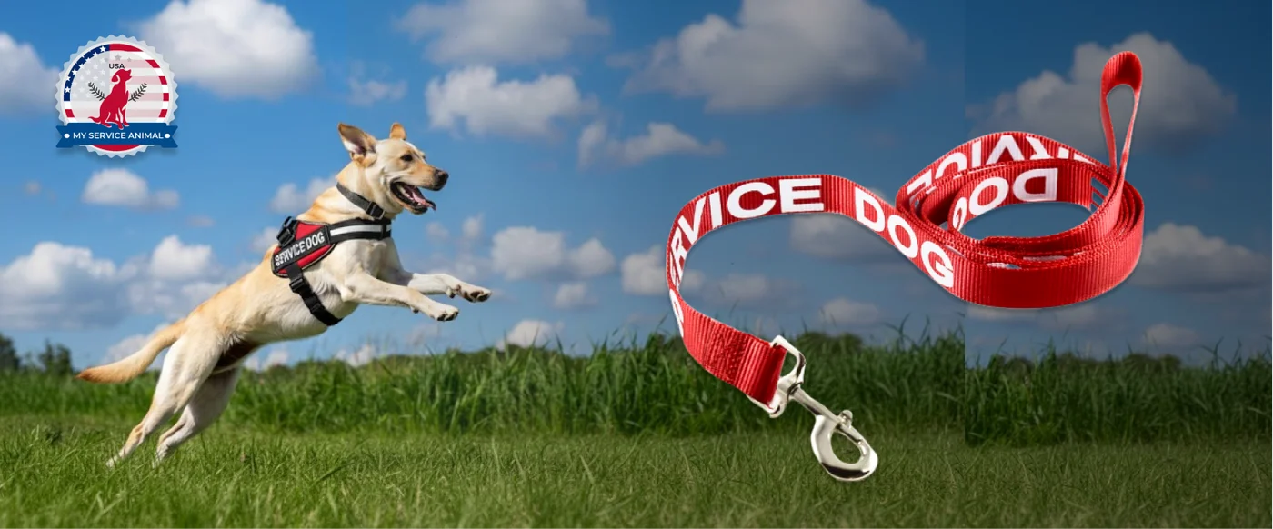 Service Dog Leash banner