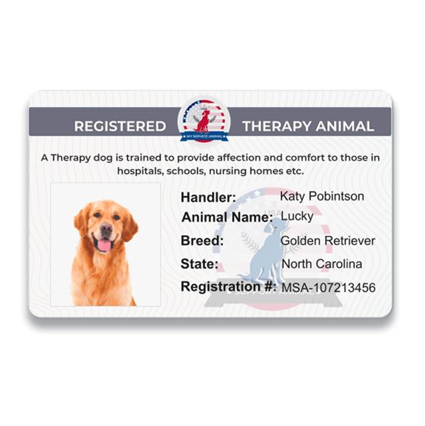 Therapy Animal ID Online USA Registration ➤ MyServiceAnimal