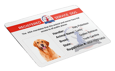 Service dog ADA ID Card