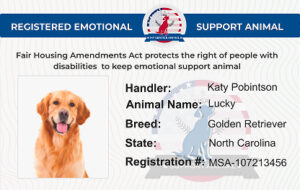 Support Animal