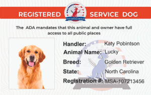 Service Animal