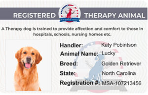 Therapy Animal