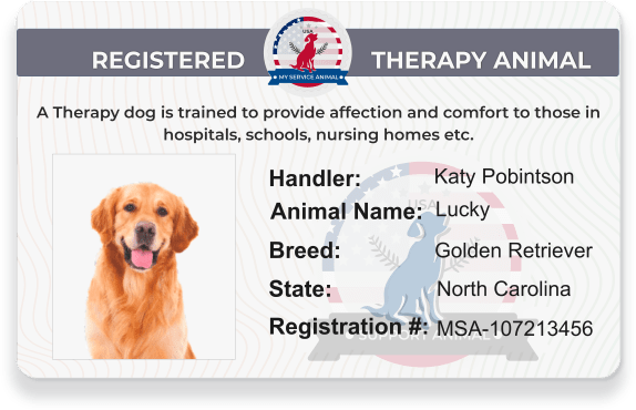 Registered Therapy Dog Animal Sample ID card