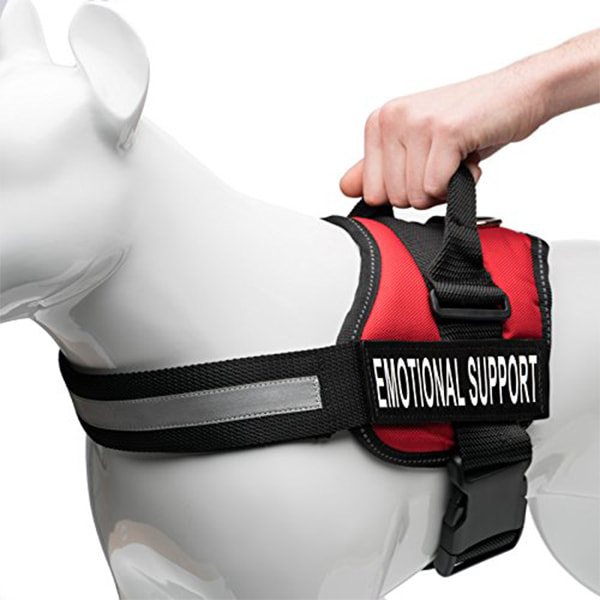 Dog Vest Ada Emotional Support Pet Supplies Vest Emotional Therapy