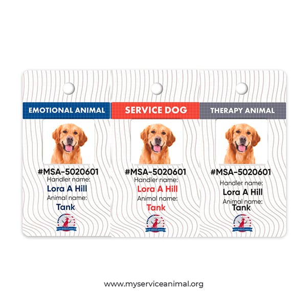 Printed Tags For Key or Harness
