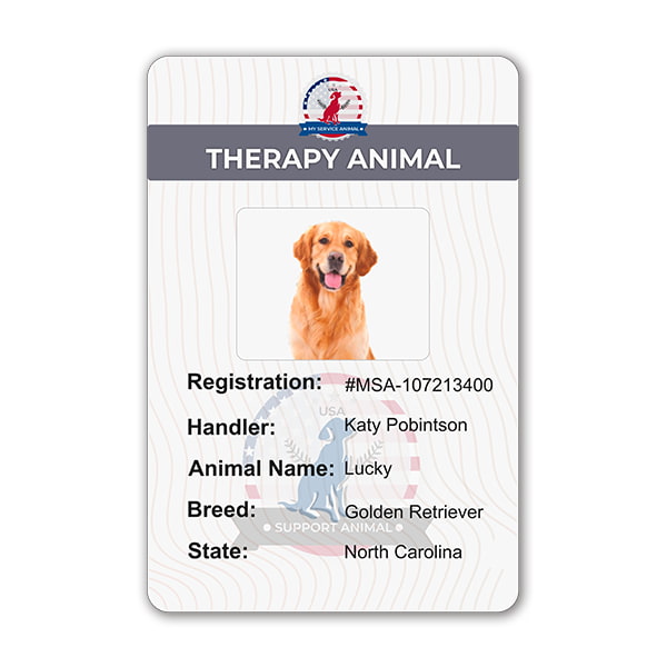 TherapyAnimal Printed Tags For Key or Harness