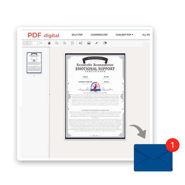 DIGITAL pdf + email