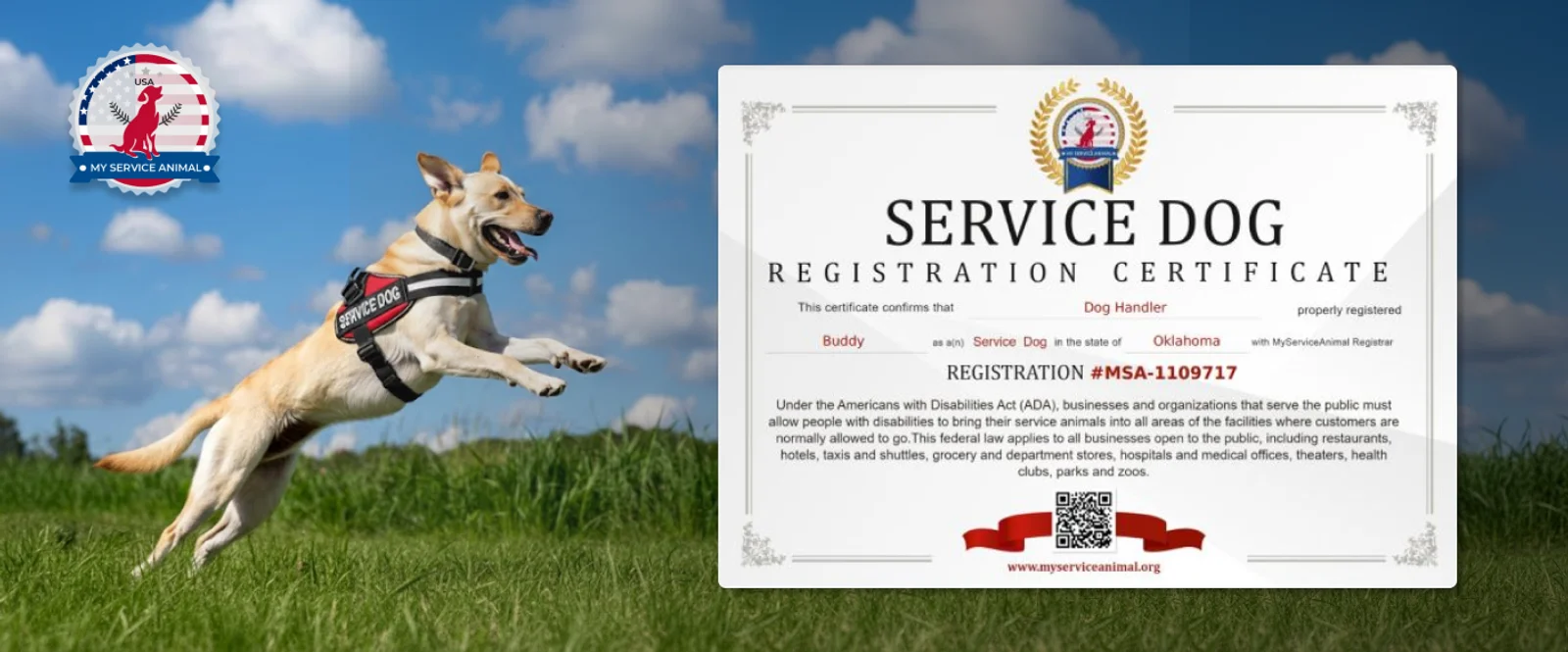 Service Dog Certificate