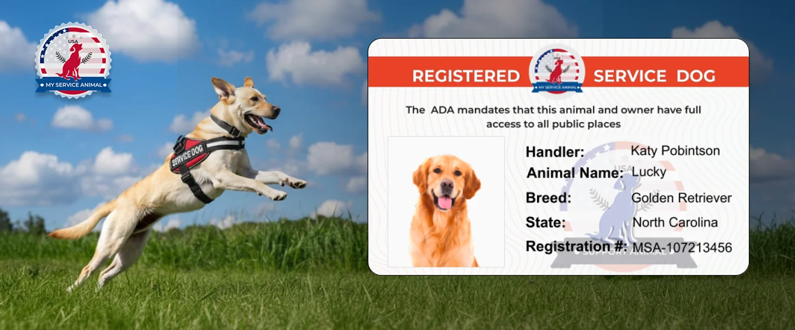 Service Dog Registration ID