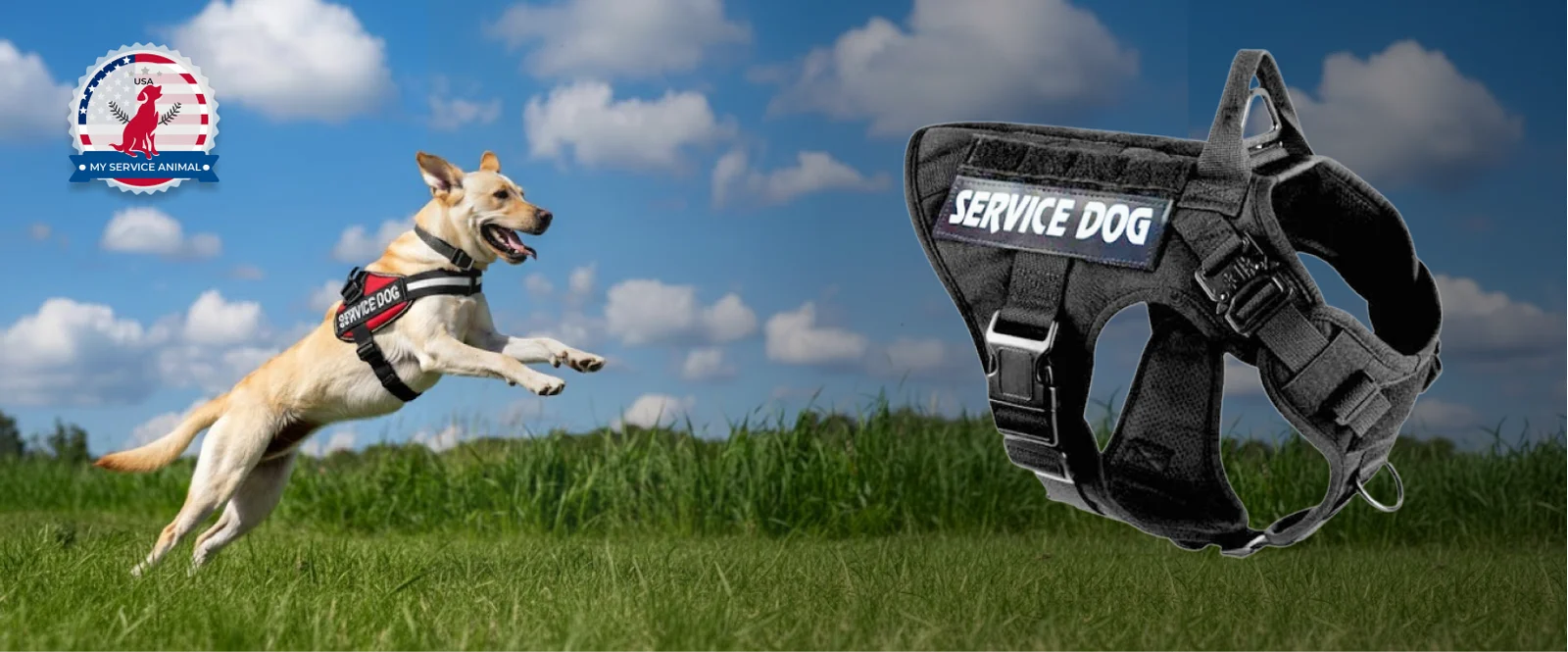 Tactical Service Dog Harness