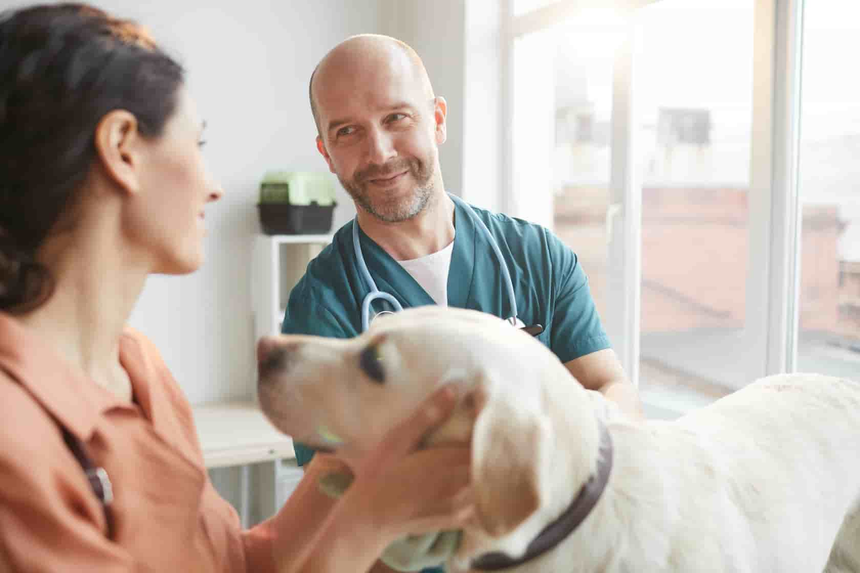 Vet with service dog