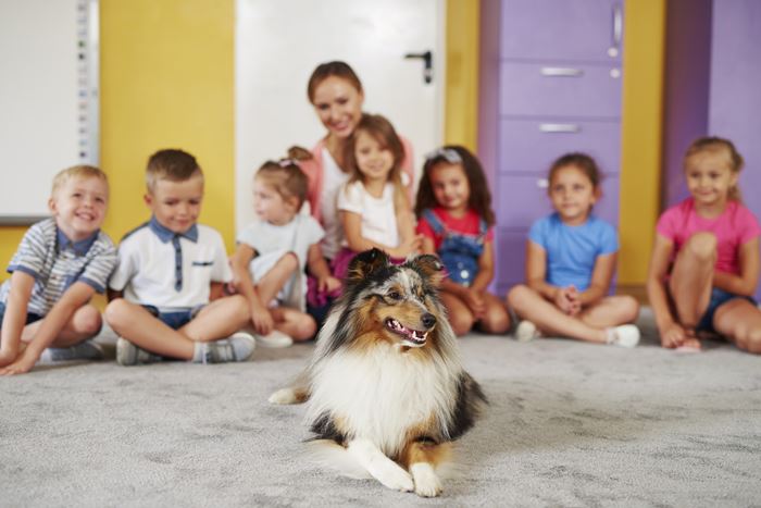 ESA therapy dog