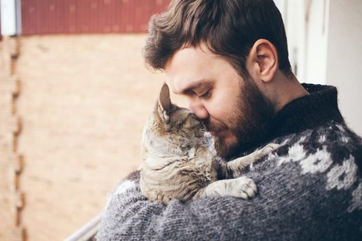 Register Cat As Emotional Support