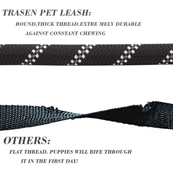 Trasen Pet Leash