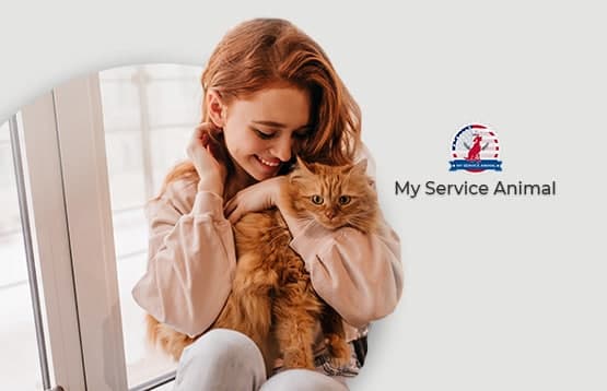 How to Register Cat as an Emotional Support Animal in the USA