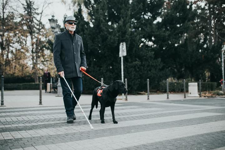 Guide Service Dog