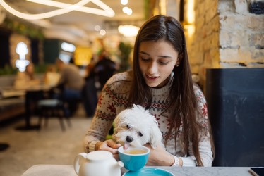 Beautiful womanwith dog in cafe