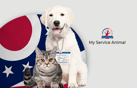 Emotional support animals in Ohio