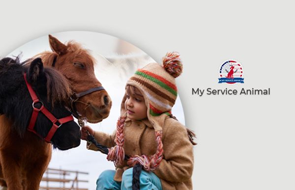 Service Animal Miniature Horse