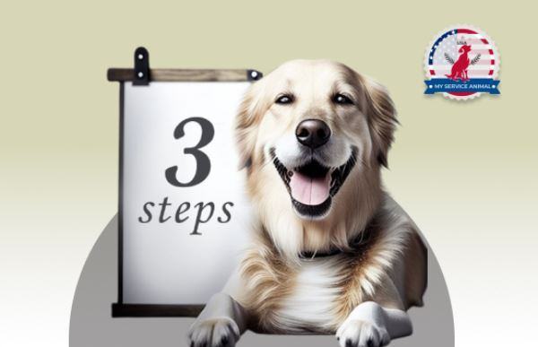 3 steps to register service dog