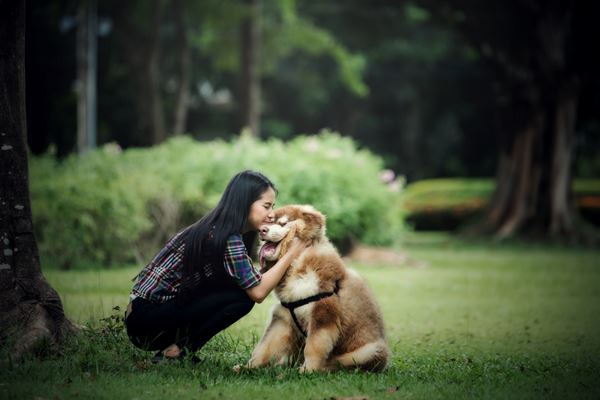 serivce dog with girl