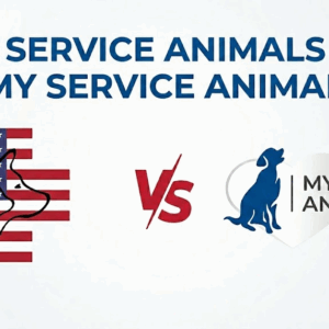 us service animals vs my service animal